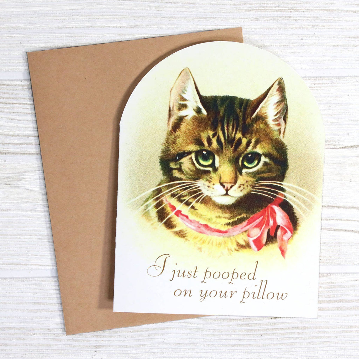 I Just Pooped on Your Pillow - Funny Cat Lover Card